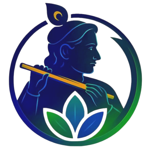 SarthiPe Fintech Pvt. Ltd. official logo